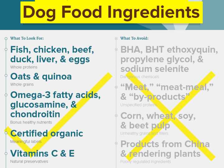 Did You Know A Healthy Dog Or Cat Food Or Treat Should Contain…