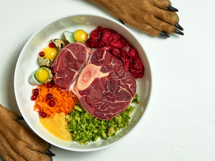 Benefits Of Feeding Your Pet A Raw Food Diet
